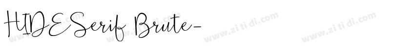 HIDESerif Brute字体转换